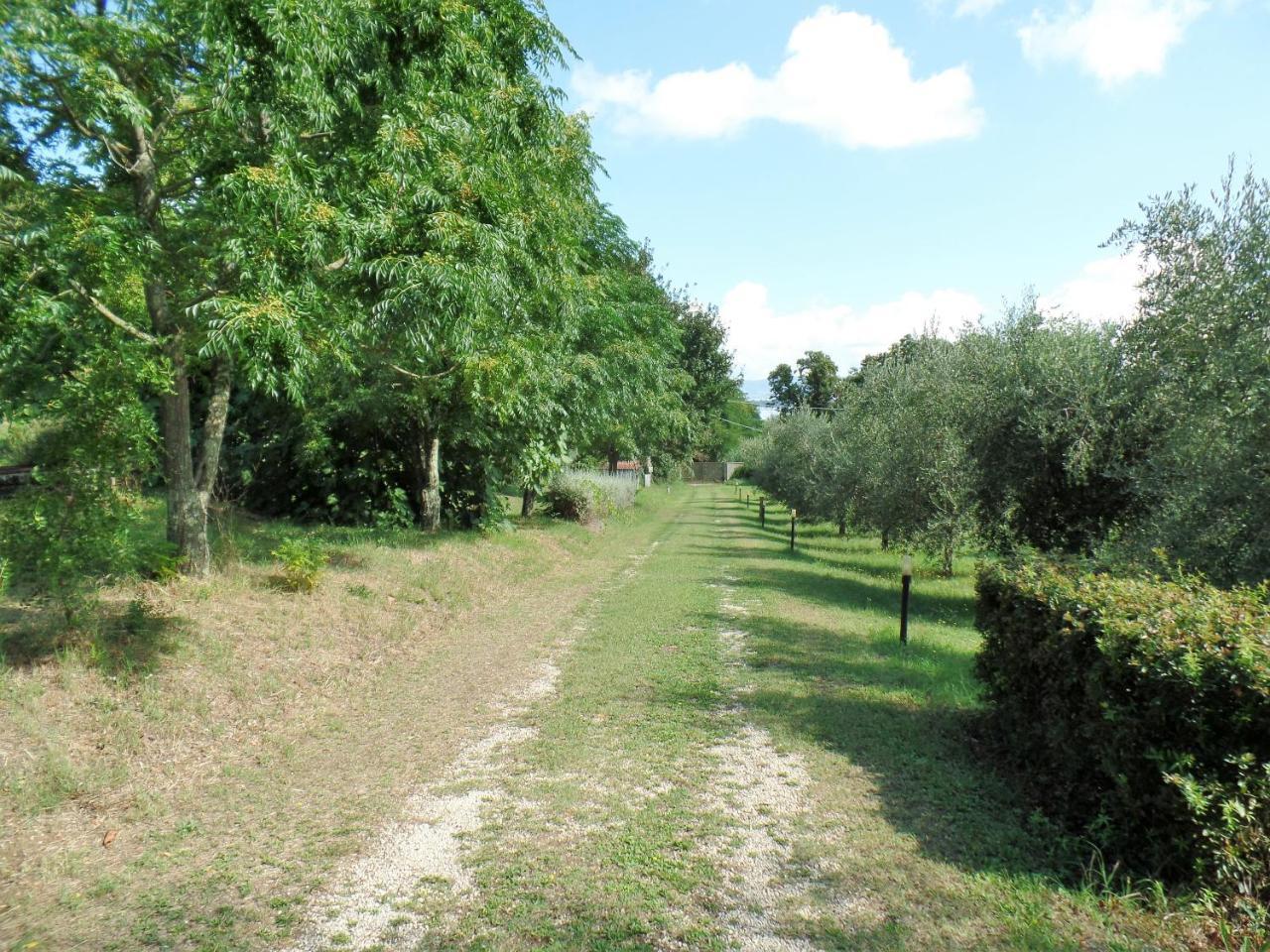 Poggiolindo B&B Capodimonte Luaran gambar