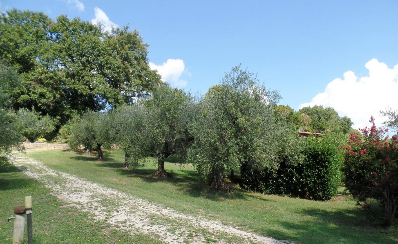 Poggiolindo B&B Capodimonte Luaran gambar