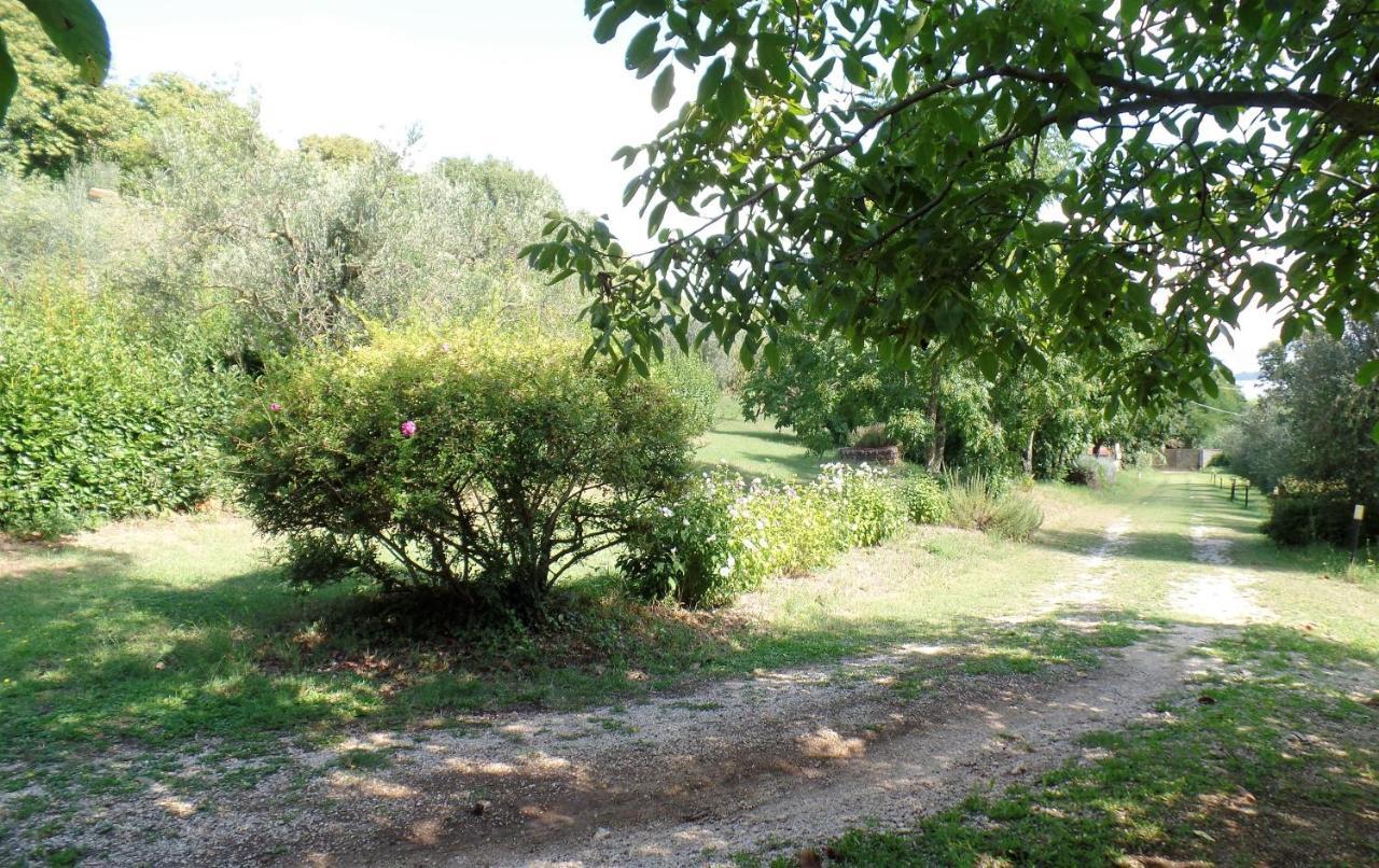 Poggiolindo B&B Capodimonte Luaran gambar