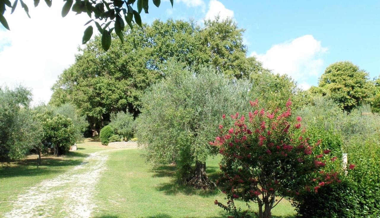 Poggiolindo B&B Capodimonte Luaran gambar